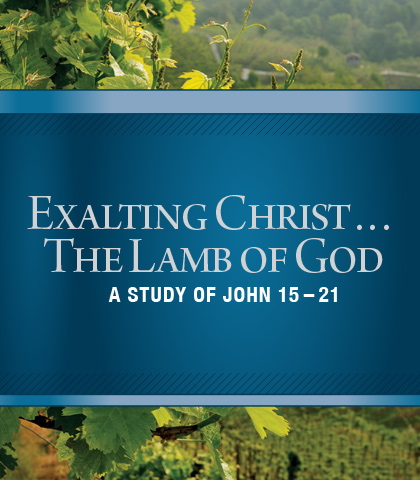 Artwork for Exalting Christ...The Lamb of God: A Study of John 15-21