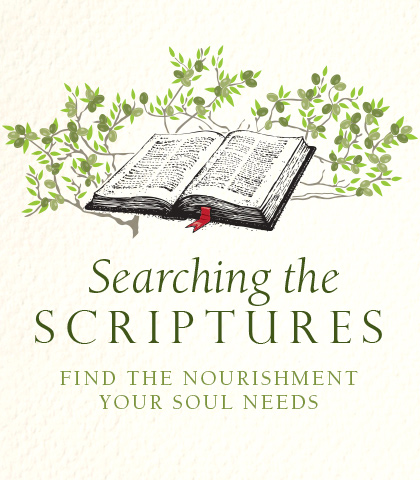 Artwork for Searching the Scriptures: Find the Nourishment Your Soul Needs