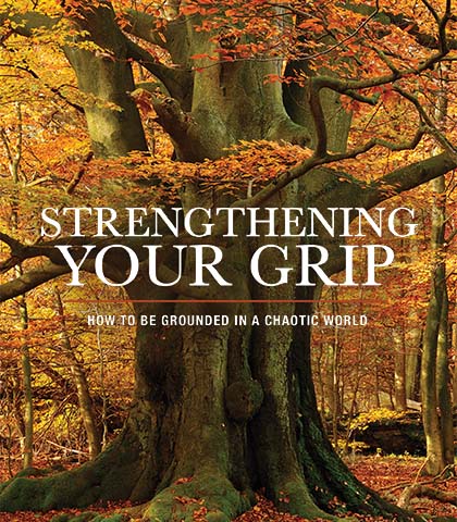 Artwork for Strengthening Your Grip: Essentials in an Aimless World