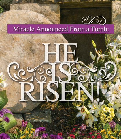 Artwork for Miracle Announced from a Tomb: "He Is Risen!"